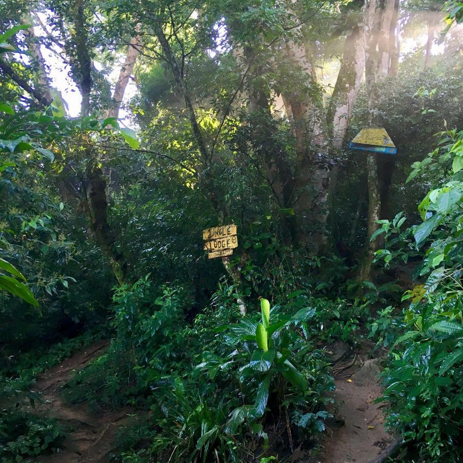Jungle Lodge Abraão Exterior foto